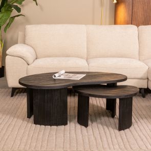 Table Basse Set Timon 100x58x40 cm
