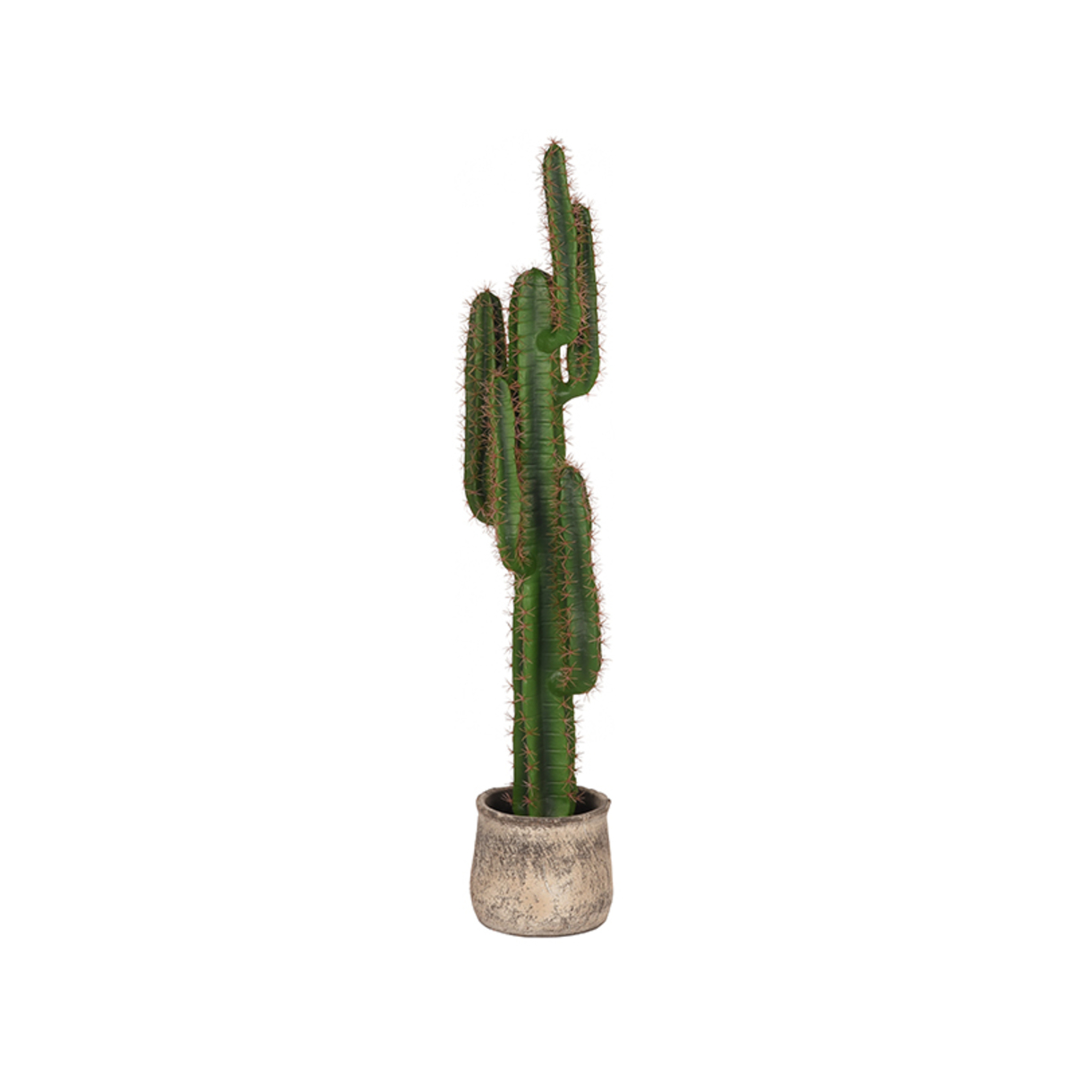 Décoratio I_Cactus - Vert - GROEN - - Moderne - LABEL51