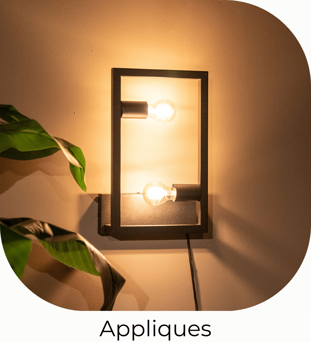 fr_appliques