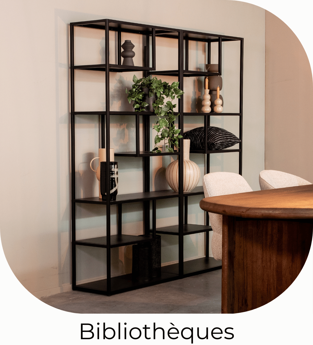 fr_bibliotheques